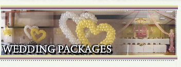 Balloonville - Wedding Packages.